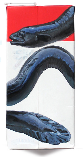 Longfin eel