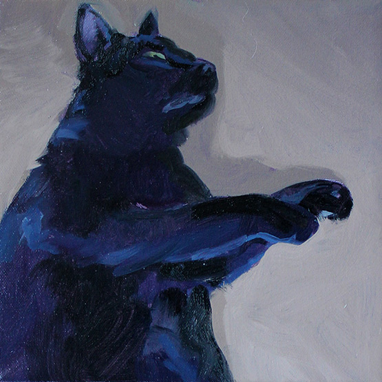 26 black cat