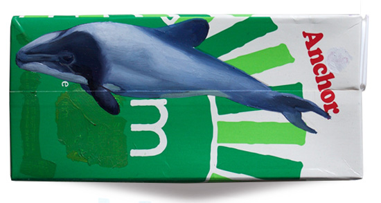 Maui dolphin