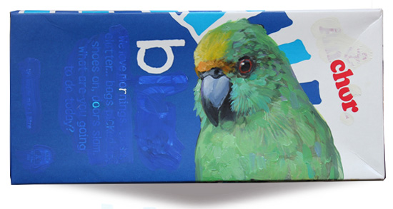 Orange-fronted parakeet