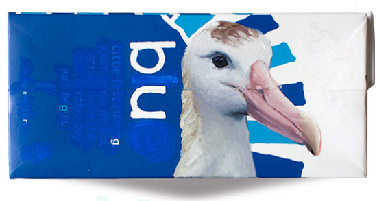 Antipodean albatross