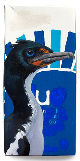 Chatham Island shag