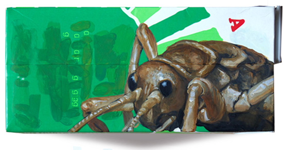giant weta