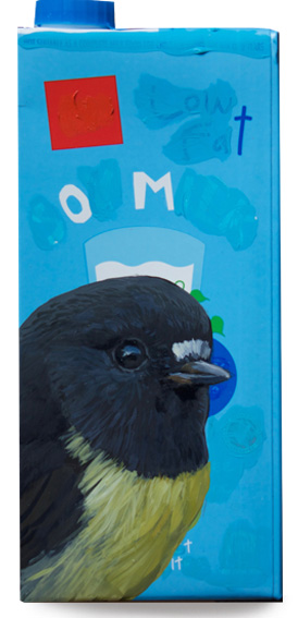 Tomtit