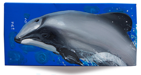 Hector's dolphin
