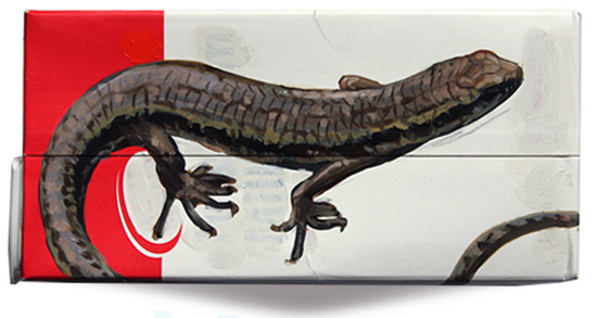 Oliver's New Zealand Skink