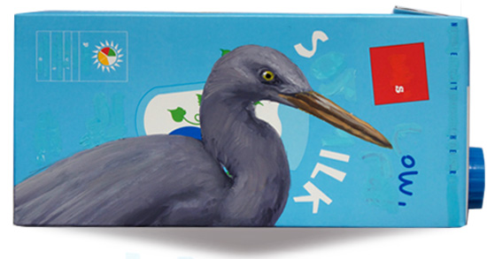 Reef Heron