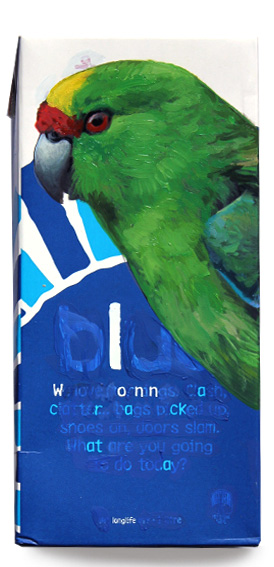 Forbes' parakeet