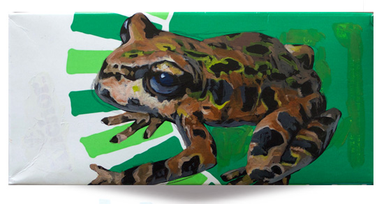 Archey's Frog