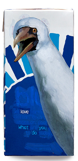 Masked booby