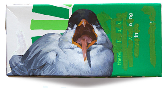 Black-fronted tern
