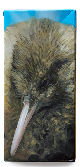 Haast tokoeka kiwi