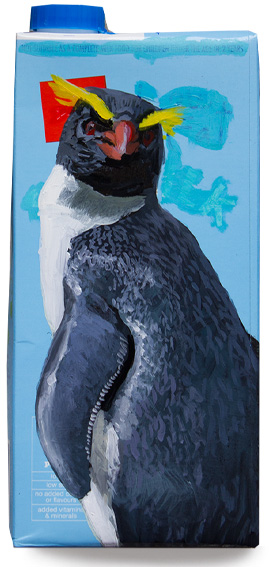 Fiordland Crested Penguin