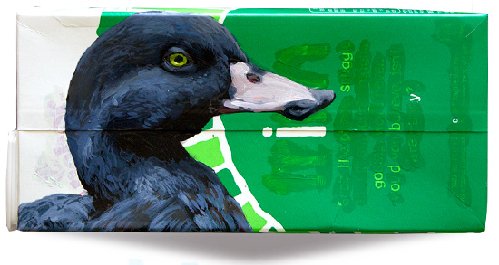 blue duck