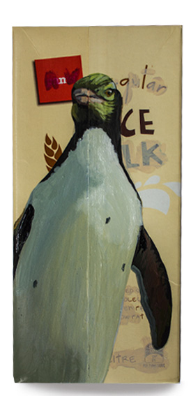 Yellow - eyed Penguin