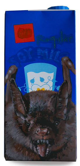 Short-tailed Bat