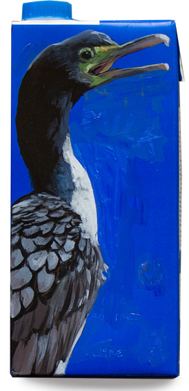 Pitt Island shag
