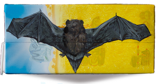 Long-tailed bat.