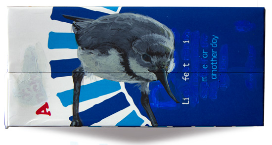 Wrybill