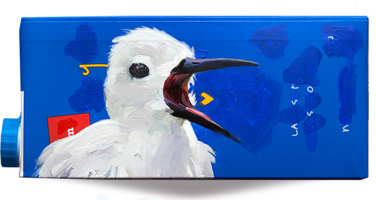White tern