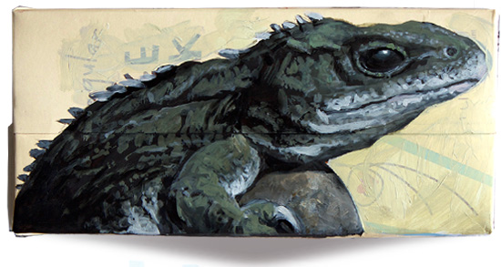 Brother's Island tuatara
