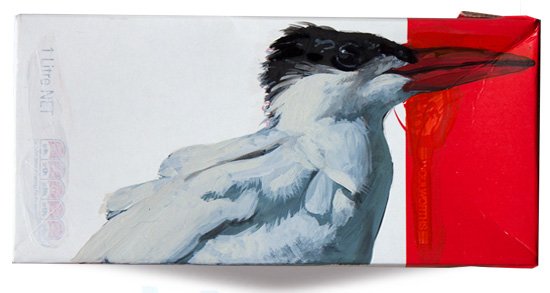 Caspian tern