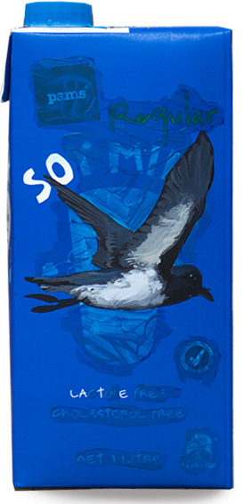 White-bellied storm petrel