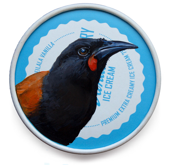 North Island saddleback