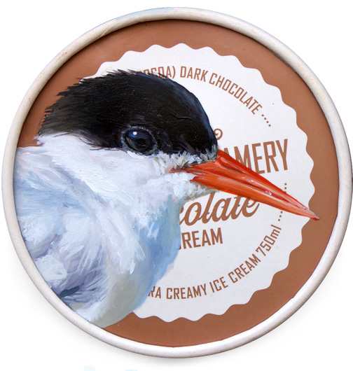 Antarctic tern