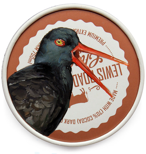 black oystercatcher