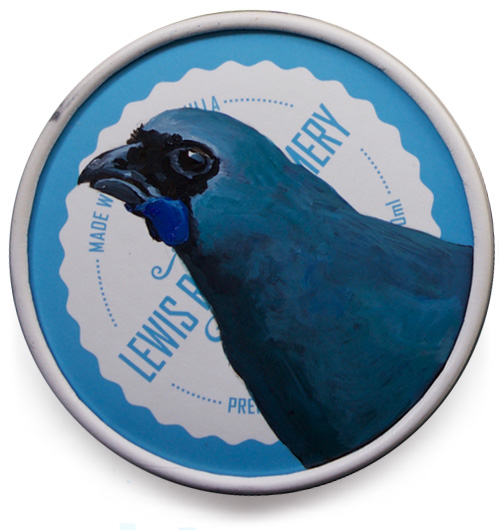 North Island kokako