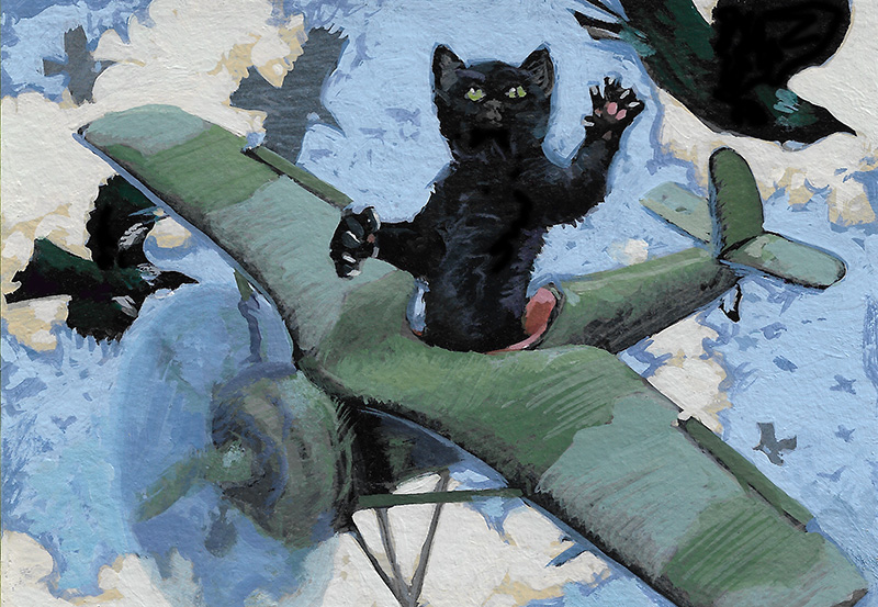 cat fight