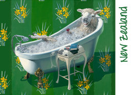 sheep dip
