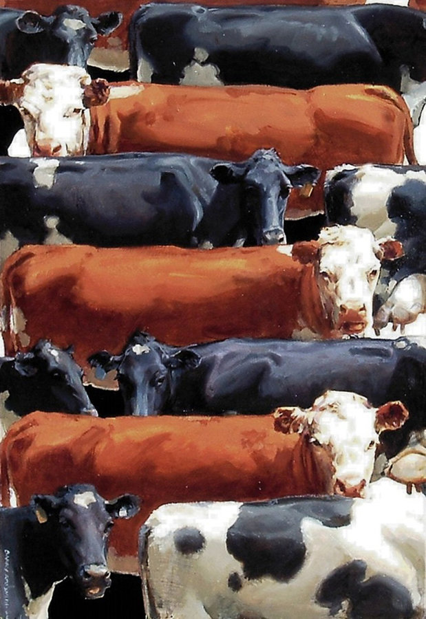 cow koru