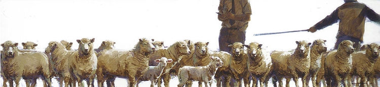 the selection