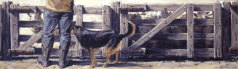 dog tucker • 1000 x 280mm