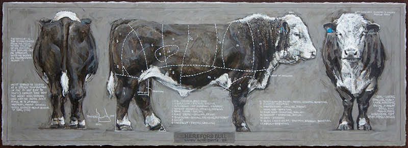 hereford bull