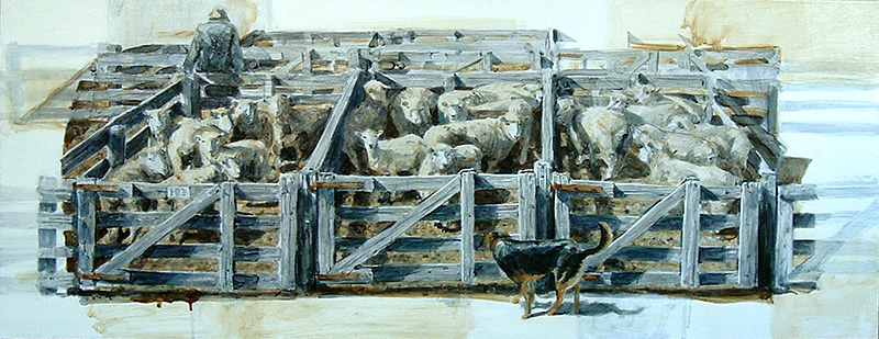 paeroa saleyard