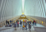 WS2 The Occulus