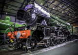 WS47 Flying Scotsman