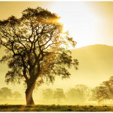 002.Morning has Broken
