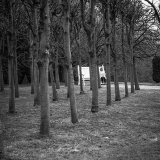 011.Girl in Park