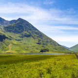 013 Glencoe