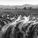 014.Ruthin Walk