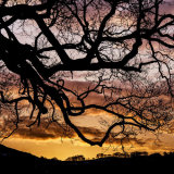 020.Ruthin Dawn