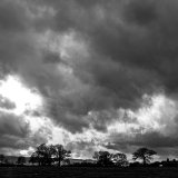 062.Fit to Burst
