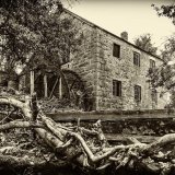 098.The Old Mill