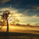 16.Sunrise