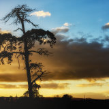 18.Sunrise