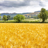 20.Clwydian Range